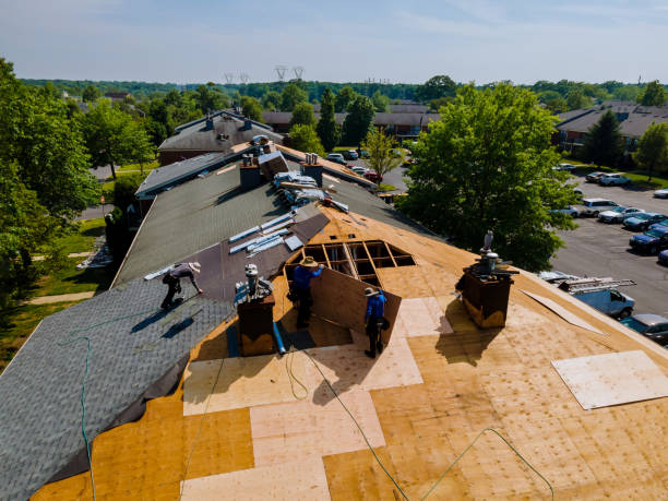 Professional Roofing Contractor in Laurel Park, NC