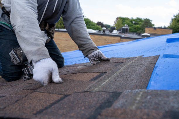 Quick and Trustworthy Emergency Roof Repair Services in Laurel Park, NC