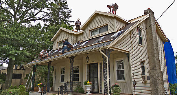 Best Local Roofing Companies  in Laurel Park, NC