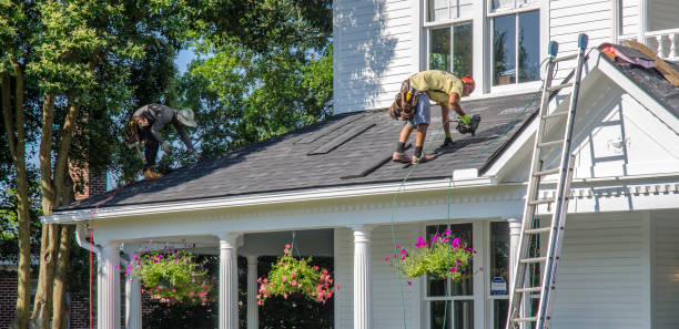 Best Roof Gutter Cleaning  in Laurel Park, NC